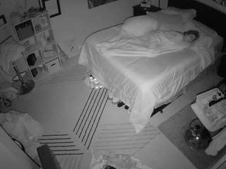 The Horny Hostel - Bedroom 2