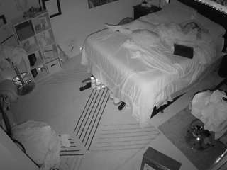 The Horny Hostel - Bedroom 2