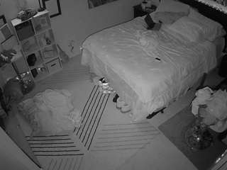 voyeurcam-hornyhostel-01