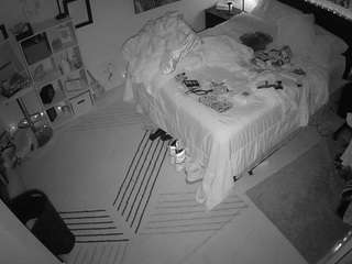 The Horny Hostel - Bedroom 2