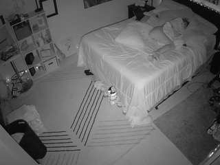 The Horny Hostel - Bedroom 2