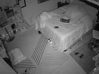 The Horny Hostel - Bedroom 2