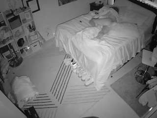 The Horny Hostel - Bedroom 2