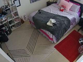 voyeurcam-hornyh... Live Webcam on CamSoda