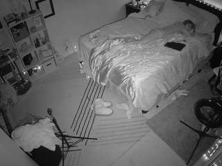 The Horny Hostel - Bedroom 2