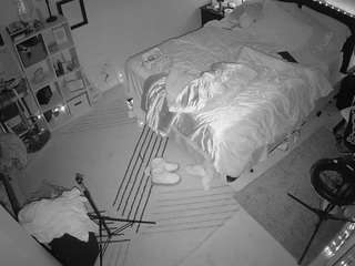 The Horny Hostel - Bedroom 2