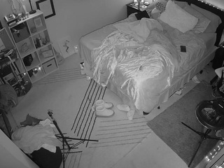 The Horny Hostel - Bedroom 2