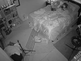 The Horny Hostel - Bedroom 2