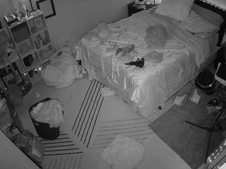 voyeurcam-hornyh... Live Webcam on CamSoda