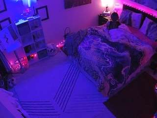 The Horny Hostel - Bedroom 2