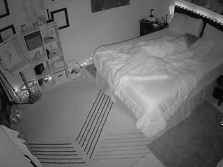 The Horny Hostel - Bedroom 2