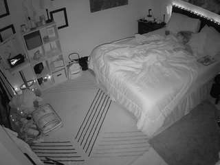 The Horny Hostel - Bedroom 2