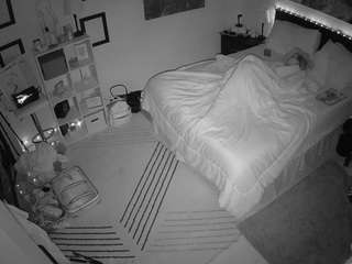 The Horny Hostel - Bedroom 2