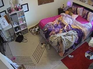 The Horny Hostel - Bedroom 2