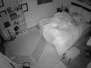 The Horny Hostel - Bedroom 2