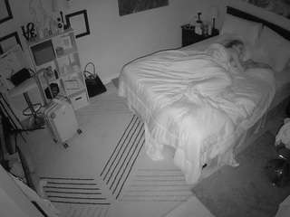 The Horny Hostel - Bedroom 2