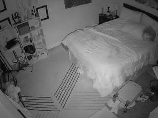 The Horny Hostel - Bedroom 2