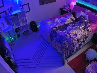 The Horny Hostel - Bedroom 2