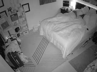 The Horny Hostel - Bedroom 2