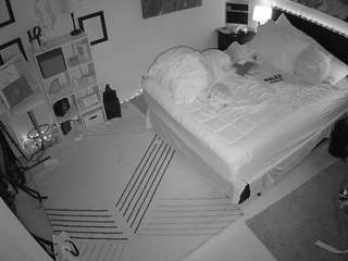 The Horny Hostel - Bedroom 2