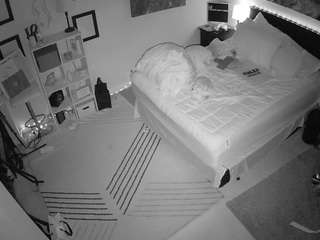 The Horny Hostel - Bedroom 2