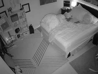 The Horny Hostel - Bedroom 2