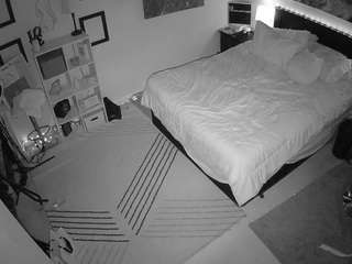 The Horny Hostel - Bedroom 2