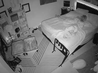 The Horny Hostel - Bedroom 2