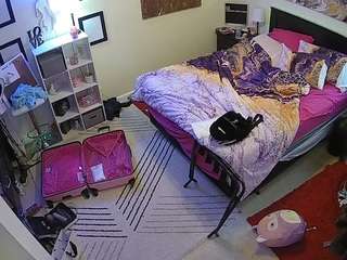 The Horny Hostel - Bedroom 2