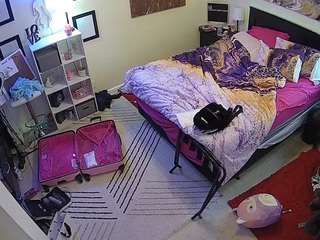 The Horny Hostel - Bedroom 2