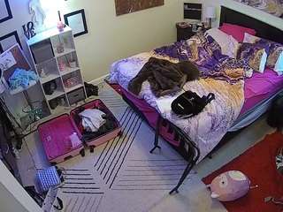 voyeurcam-hornyh... Live Webcam on CamSoda