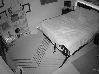 The Horny Hostel - Bedroom 2