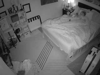 The Horny Hostel - Bedroom 2