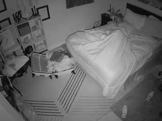 The Horny Hostel - Bedroom 2