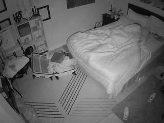 The Horny Hostel - Bedroom 2