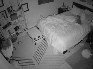 The Horny Hostel - Bedroom 2