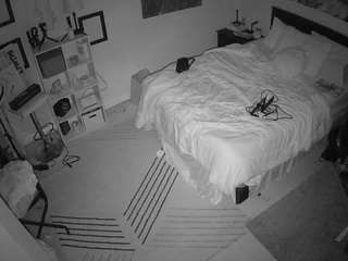 voyeurcam-hornyhostel-01 webcam