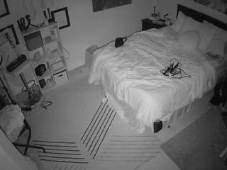voyeurcam-hornyhostel-01 webcam