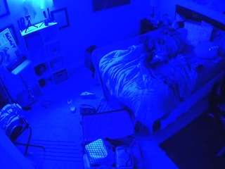 The Horny Hostel - Bedroom 2