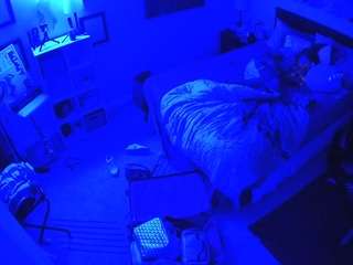 The Horny Hostel - Bedroom 2