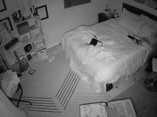 voyeurcam-hornyhostel-01 webcam