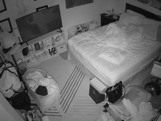 The Horny Hostel - Bedroom 2