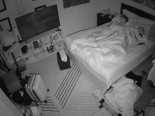 The Horny Hostel - Bedroom 2