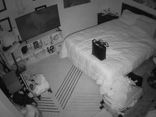 The Horny Hostel - Bedroom 2