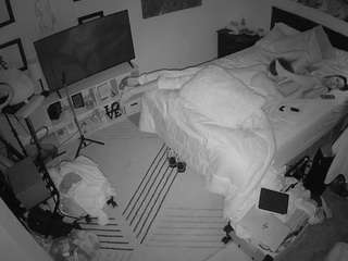 The Horny Hostel - Bedroom 2