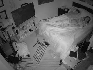 The Horny Hostel - Bedroom 2