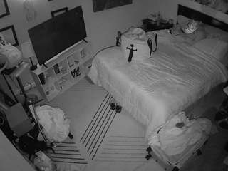 The Horny Hostel - Bedroom 2