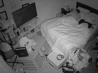 The Horny Hostel - Bedroom 2