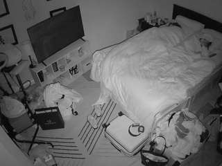 The Horny Hostel - Bedroom 2