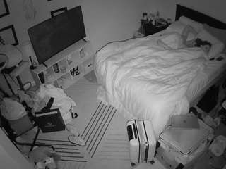 The Horny Hostel - Bedroom 2